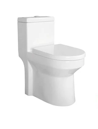 One Piece Height Toilet for Modern{0}}Style Bathrooms